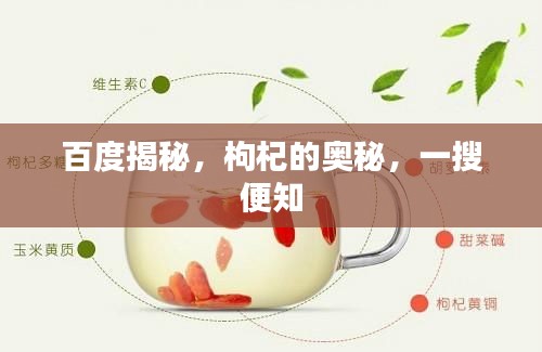 百度揭秘,枸杞的奥秘,一搜便知