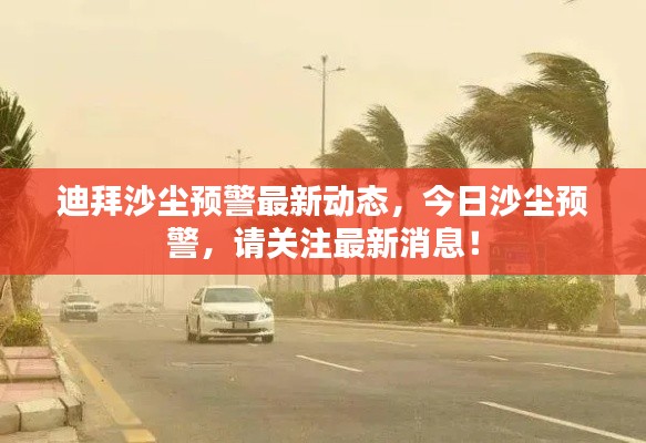 迪拜沙尘预警最新动态,今日沙尘预警,请关注最新消息!