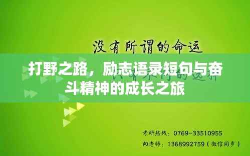 打野之路,励志语录短句与奋斗精神的成长之旅