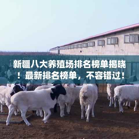 新疆八大养殖场排名榜单揭晓!最新排名榜单,不容错过!
