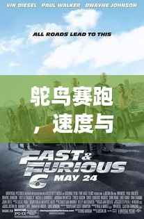 笼鸟槛猿 第3页