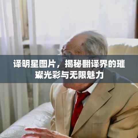 译明星图片,揭秘翻译界的璀璨光彩与无限魅力