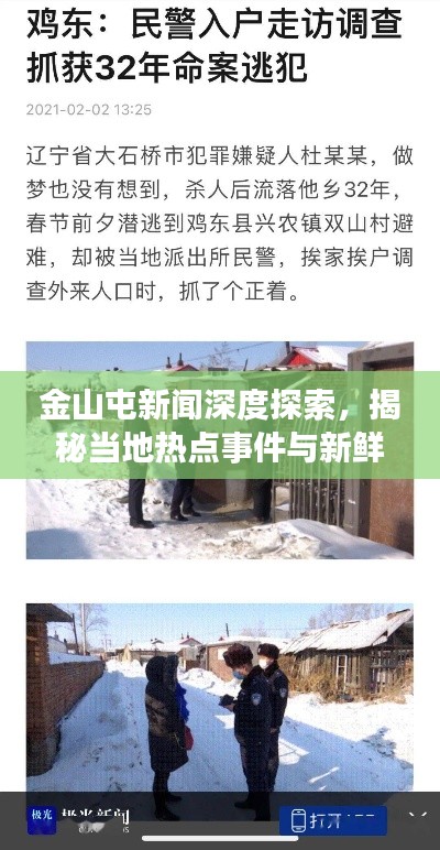 金山屯新闻深度探索,揭秘当地热点事件与新鲜资讯