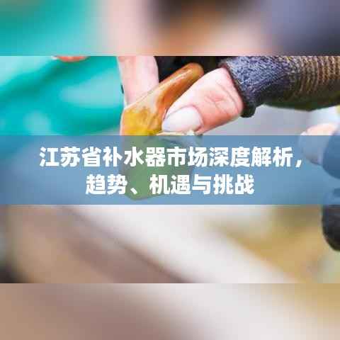 江苏省补水器市场深度解析,趋势、机遇与挑战