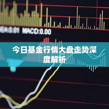 今日基金行情大盘走势深度解析