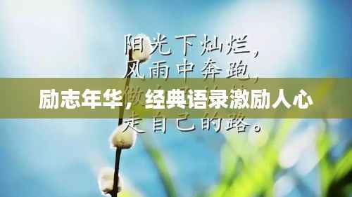 励志年华,经典语录激励人心