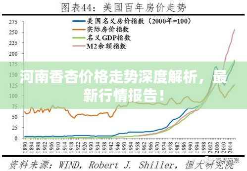 河南香杏价格走势深度解析,最新行情报告!