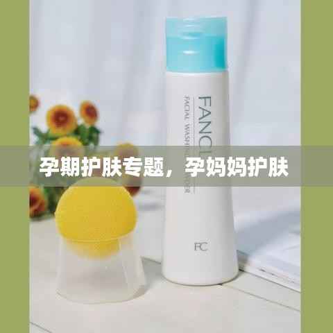 无影无踪 第2页