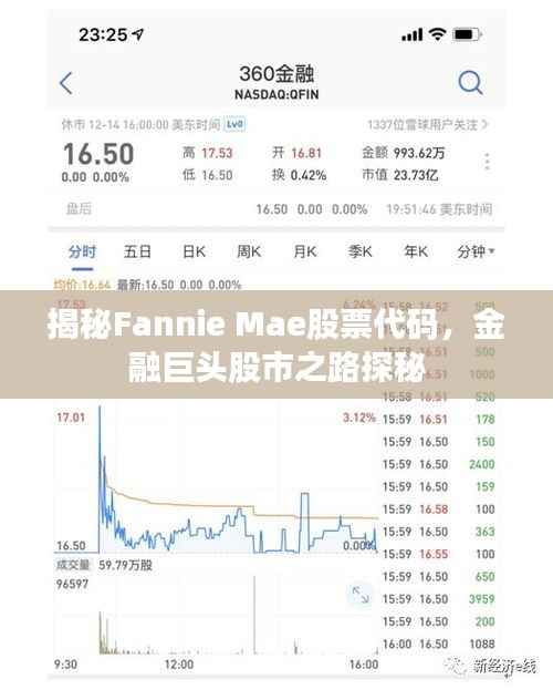 揭秘Fannie Mae股票代码,金融巨头股市之路探秘