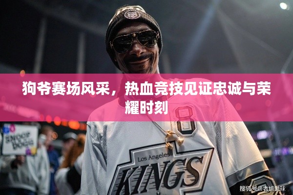 狗爷赛场风采,热血竞技见证忠诚与荣耀时刻