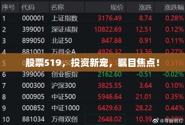 股票519,投资新宠,瞩目焦点!