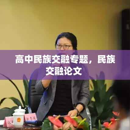 高中民族交融专题,民族交融论文