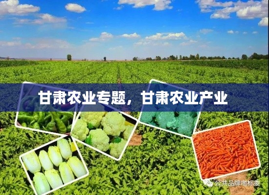 甘肃农业专题,甘肃农业产业