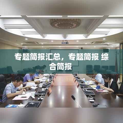 专题简报汇总,专题简报 综合简报