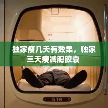 新闻中心 第59页