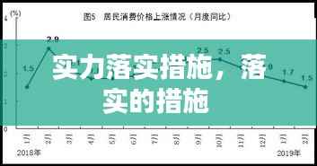 实力落实措施，落实的措施 