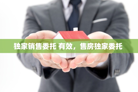 独家销售委托 有效，售房独家委托 