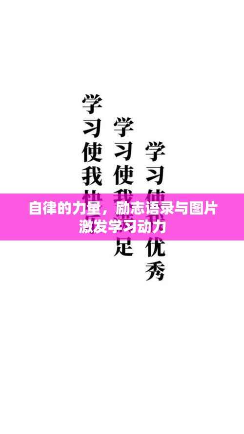 自律的力量，励志语录与图片激发学习动力