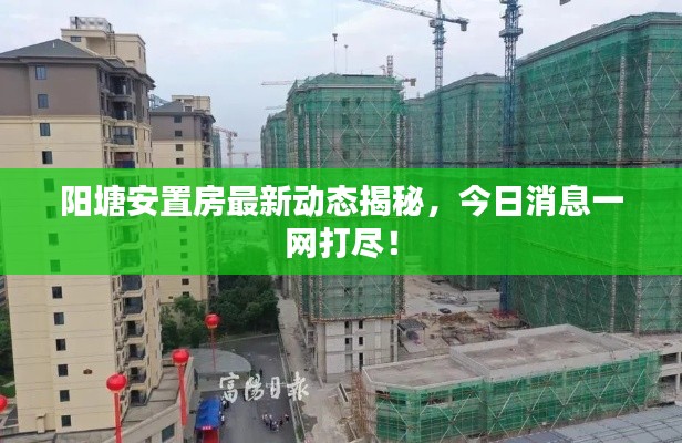 阳塘安置房最新动态揭秘，今日消息一网打尽！