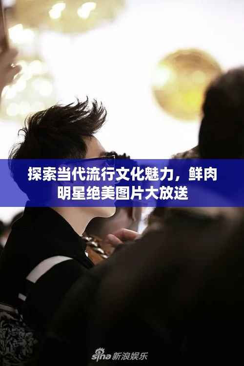 探索当代流行文化魅力,鲜肉明星绝美图片大放送