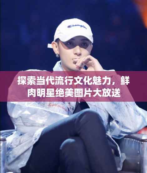 探索当代流行文化魅力,鲜肉明星绝美图片大放送