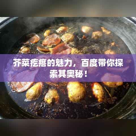 芥菜疙瘩的魅力，百度带你探索其奥秘！