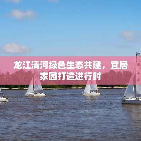 龙江清河绿色生态共建，宜居家园打造进行时