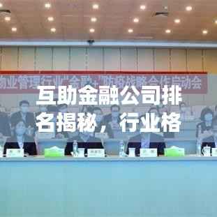 互助金融公司排名揭秘，行业格局与未来趋势洞察