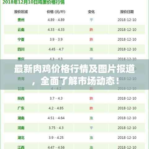 最新肉鸡价格行情及图片报道,全面了解市场动态!